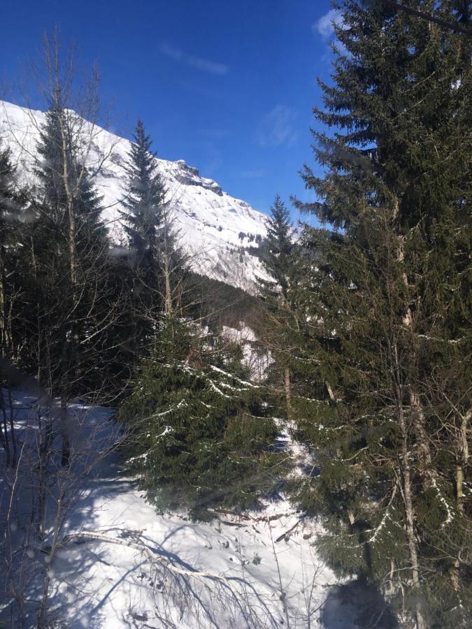 Les Pierres Blanches Mont Blanc Apartamento Les Contamines-Montjoie Exterior foto